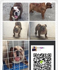 �㽭̨�ݵ���˫Ѫͳ�����ֹ��������