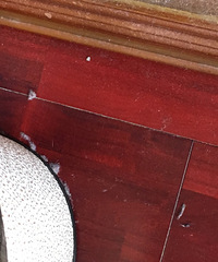 ˭�ұ������� ------С���ˡ�������