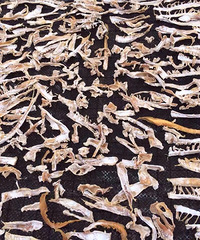 ����Ҫ����ɵ�