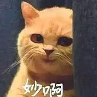 Ů�ӡ�û����λʱ�������̥��������ۼ�Ч��һ��ֻ����������