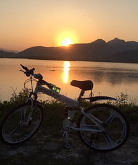 ·��������