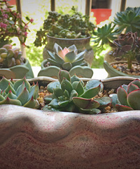 ��������������״̬