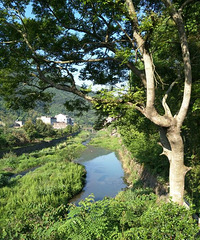 ������÷Ϫ��