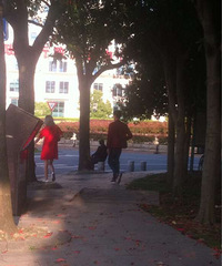 �����ϡ������ô����Ϊ�����˸���椣���ʵ��Ⱦ�˷����й�����