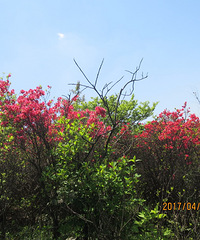 �ٺ���ɽ���������续