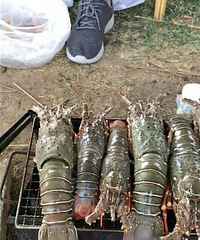 �����տ� �������տ�������һ��