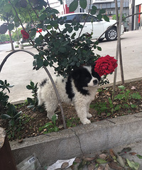 ��������