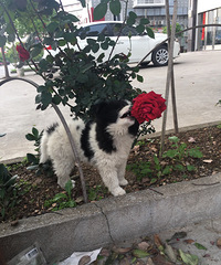 ��������