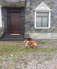 ˫Ѫͳ�»��������