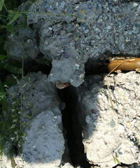 �����ϡ��������һ���Ľ���