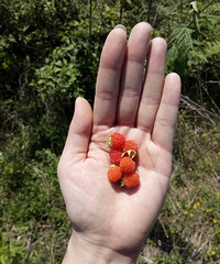 �Ե���Сʱ�����