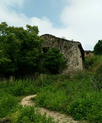 温岭大坑沙村