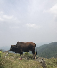 台州的香格里拉 兰田