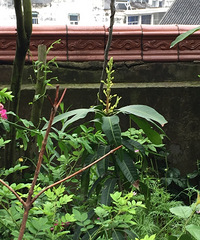 ���Ϻ�������һЩ