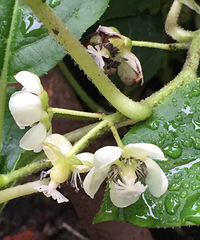 ���Ϻ�������һЩ