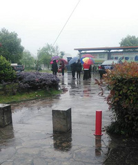 �����ĺܶ�