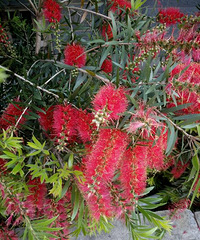 ����ʲô��