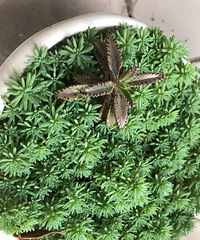 ����գ���������ֱ��ʲô����