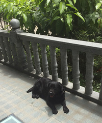 ����������������Ȯ�ҳ��ڷ�Ʊ