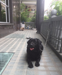 ����������������Ȯ�ҳ��ڷ�Ʊ