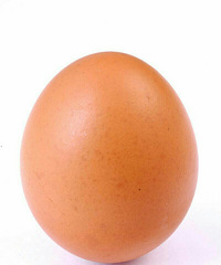 ���۸��᡿�������ģ������ʲôϰ�ף�