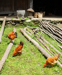 �����ɾ��������