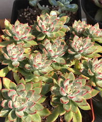 �Ӷ��쵽�����ٵ�����