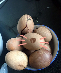 ���۸��᡿�������ģ������Լ����Ҷ����