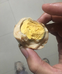 ���۸��᡿�������ģ������Լ����Ҷ����