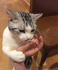 ����������һ�������ʱ��