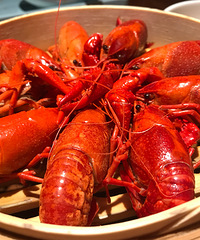 �Ի��õĺ�������