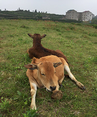 ����ǰԵ�����