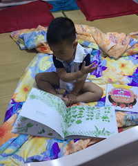 ��һ԰��˳��˾�����һվ�����η���