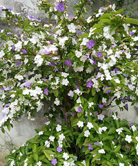 ���۸��᡿��ôƯ���Ļ���֪����ɶ���֣�