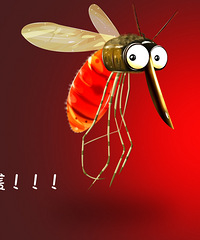 [����������]���챻����ҧ���ˣ�