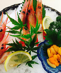 ţ�ⷹ�������� �óԷ���