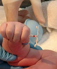 �����ա����л�����