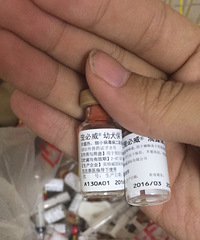 ̨�ݽ�������һ������������Ȯ����Ԥ��