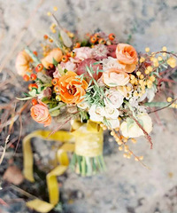 �������ߵ����������������ʳ�����������