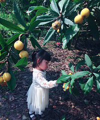 �ո�����֮�Ҽ�