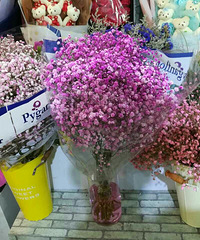 ����99��õ��������� �������ͱ������