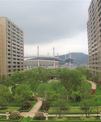 ��ޱ��԰������ô��?ú���ܵ��ߵ�����?