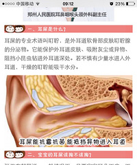 [����]���ӵĶ�ʺ��Ҫ����