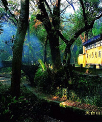 ���徰����ѿ���