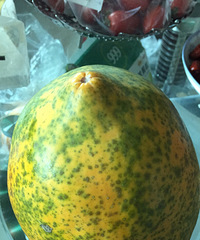 ̨��ĺ���ľ�ϵ���