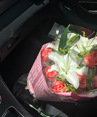 ����������Ϣ