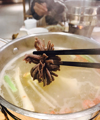 ���ӵĹ�ǰ���� Ƭ������Ҳ������