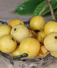 ��ɳ����