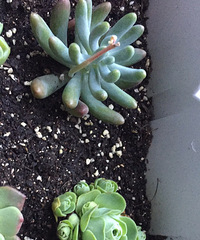 ���������һ�����⣬ϣ�����Դ��