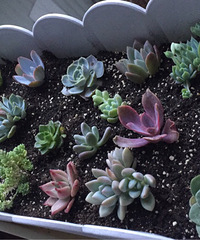 ���������һ�����⣬ϣ�����Դ��